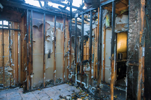 Professional Structural Rebuild technician working in Lyford, TX